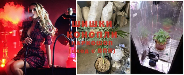 индика Абдулино
