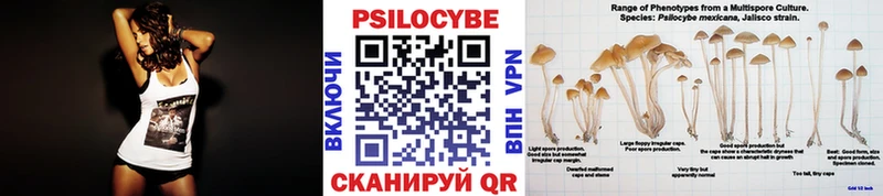 Галлюциногенные грибы прущие грибы  Новоуральск 